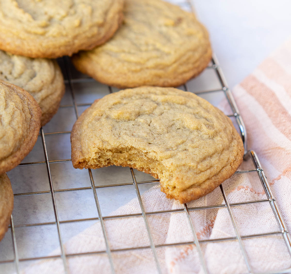 chocolate shipless cookie with bite spot