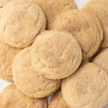 mexican cinnamon cookies