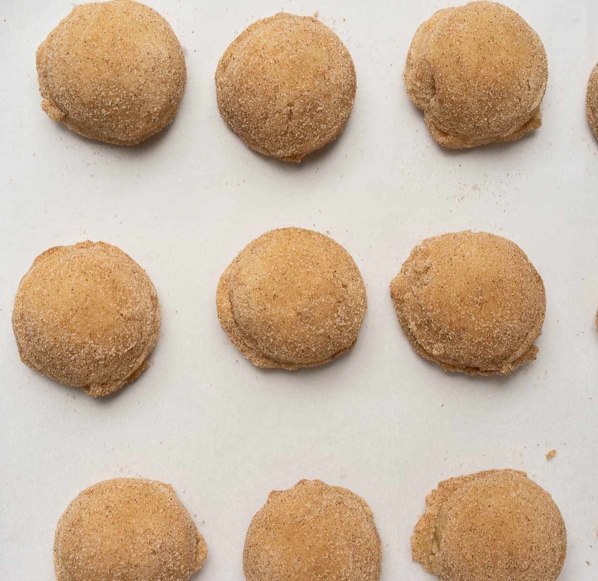 mexican cinnamon cookies lined up ready to bake.