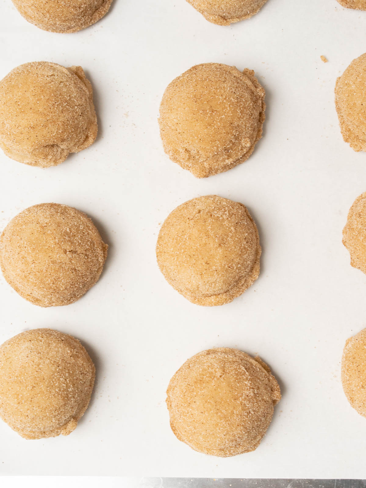 Mexican cinnamon cookie dough on baking sheet.