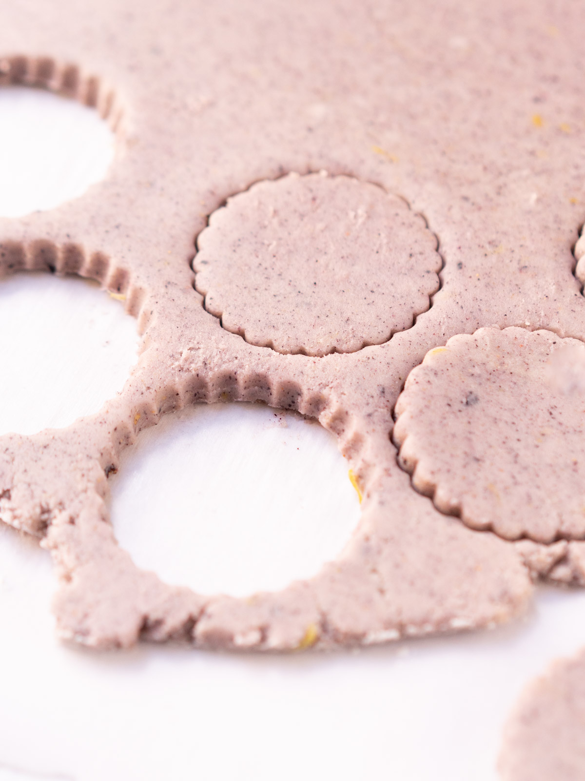 Blueberry lemon sugar cookie dough.